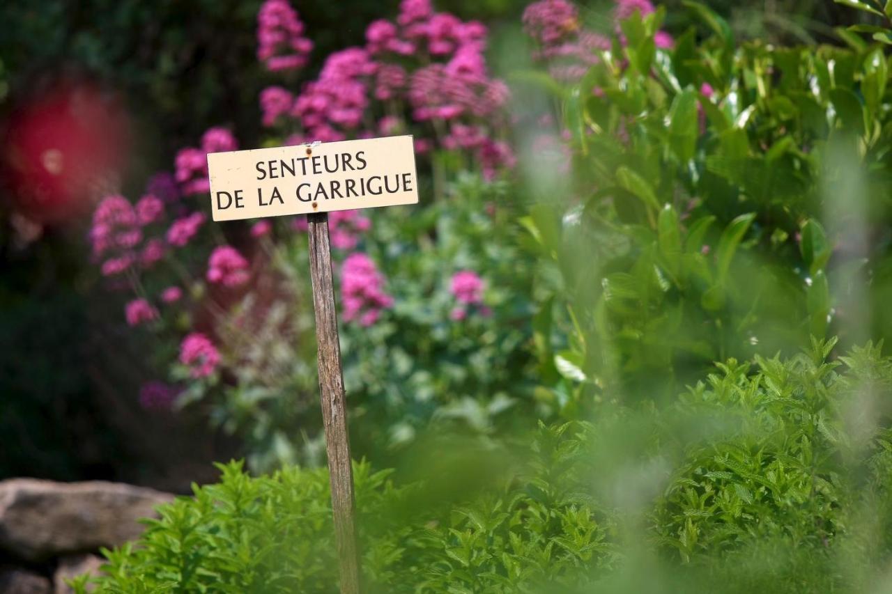 Maison De Village La Clemaline Figanières Zewnętrze zdjęcie